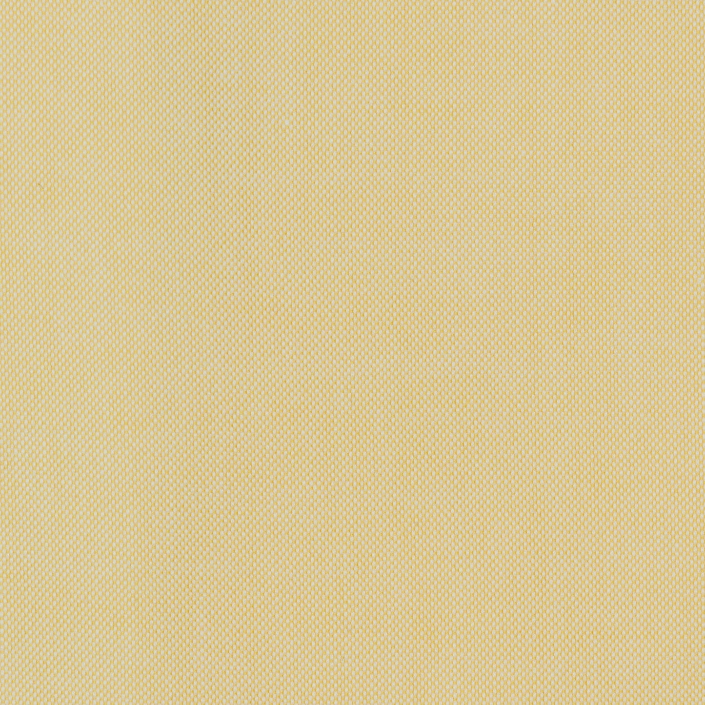 097 TF BD - Yellow Tailored Fit Button Down Collar Cooper and Stewart