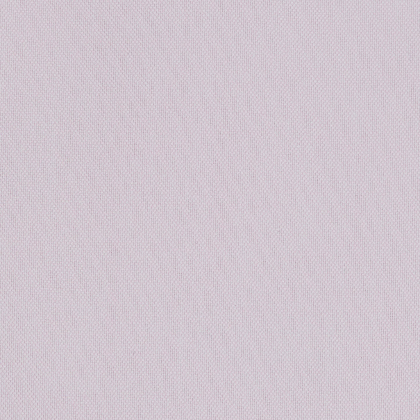 096 TF BD - Pink Tailored Fit Button Down Collar Cooper and Stewart 