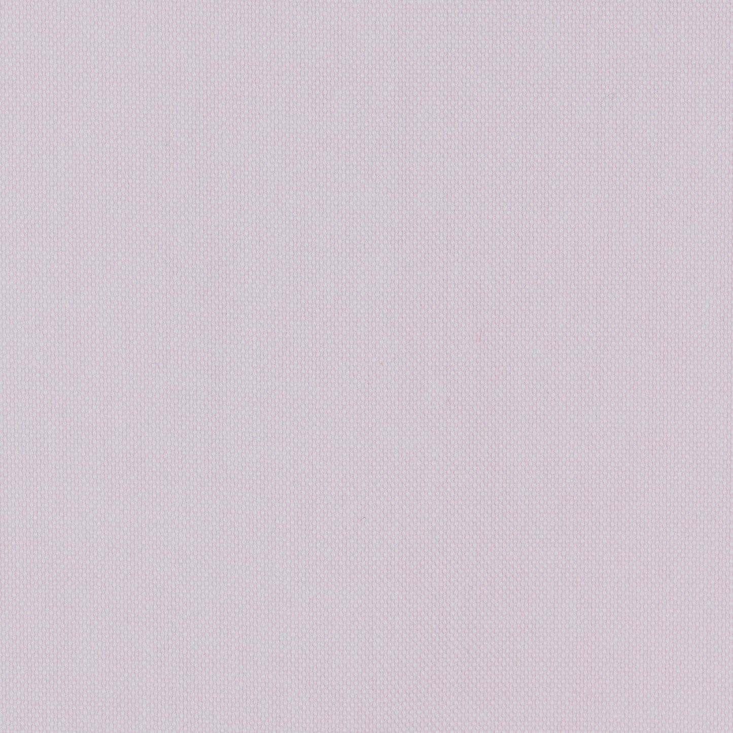 096 TF SC - Pink Tailored Fit Spread Collar Cooper and Stewart 